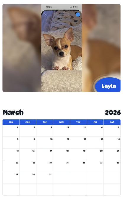 November 2025 - October 2026 Layla - Pawidols Pet Calendar