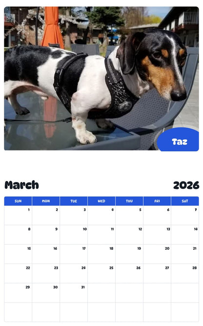 November 2025 - October 2026 Taz - Pawidols Pet Calendar