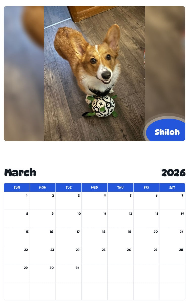 November 2025 - October 2026 Shiloh - Pawidols Pet Calendar