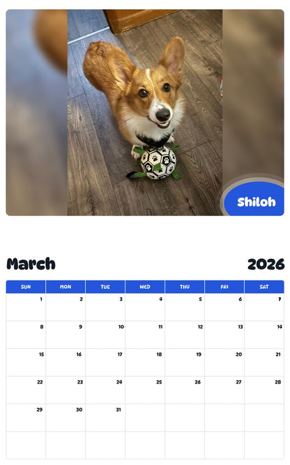 November 2025 - October 2026 Shiloh - Pawidols Pet Calendar