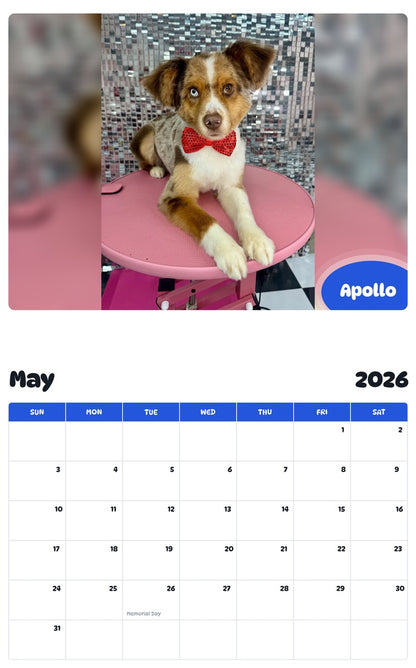 2026 - 2027 Apollo - Pawidols Pet Calendar