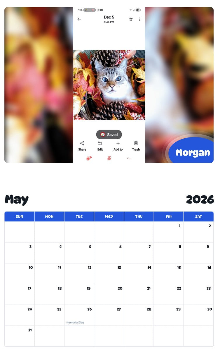 2026 - 2027 Morgan - Pawidols Pet Calendar