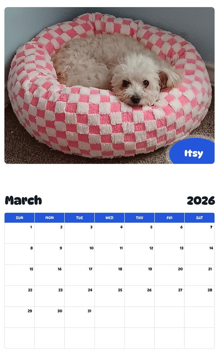 November 2025 - October 2026 Itsy - Pawidols Pet Calendar