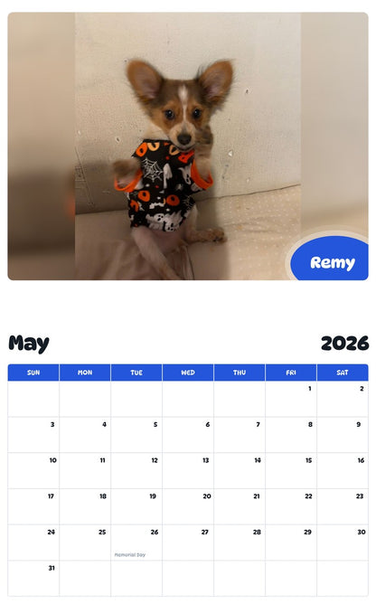 2026 - 2027 Remy - Pawidols Pet Calendar