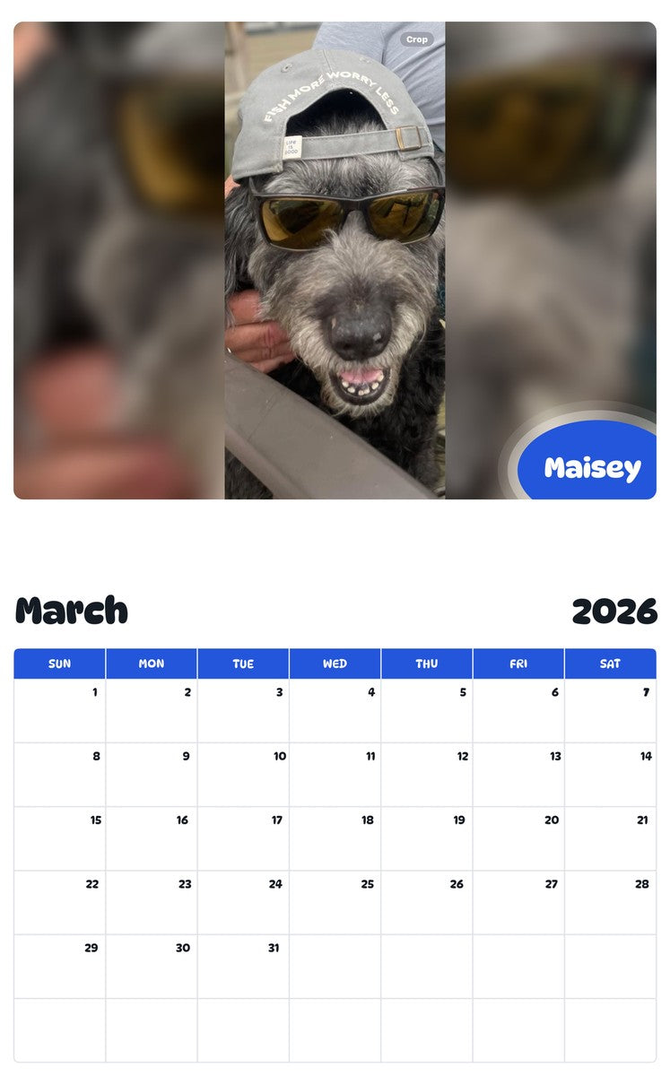 November 2025 - October 2026 Maisey - Pawidols Pet Calendar
