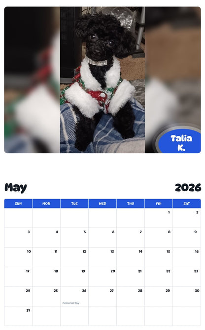 2026 - 2027 Talia K. - Pawidols Pet Calendar