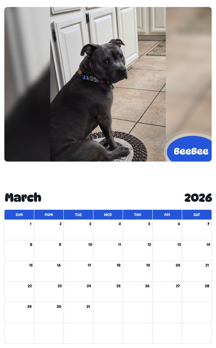November 2025 - October 2026 BeeBee - Pawidols Pet Calendar