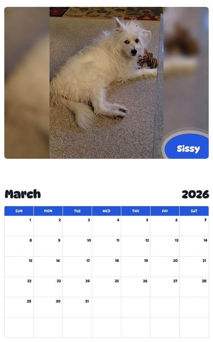 November 2025 - October 2026 Sissy - Pawidols Pet Calendar