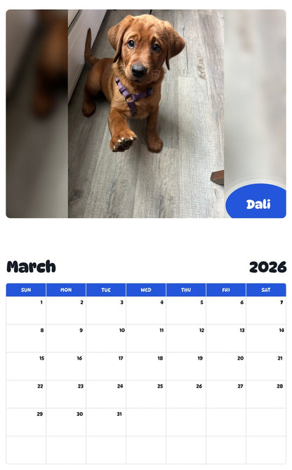 November 2025 - October 2026 Dali - Pawidols Pet Calendar