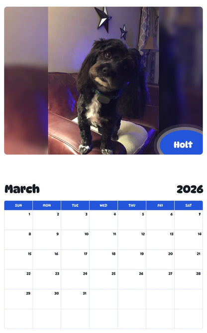 November 2025 - October 2026 Holt - Pawidols Pet Calendar