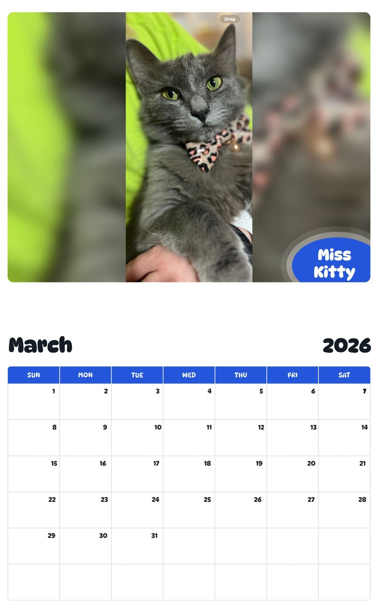 November 2025 - October 2026 Miss Kitty - Pawidols Pet Calendar