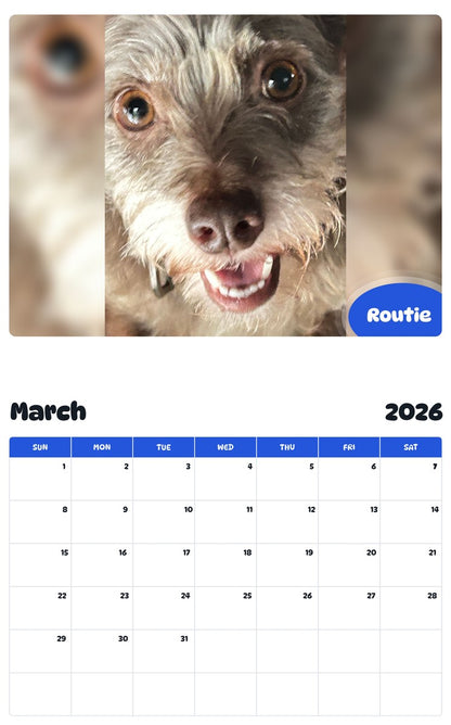 November 2025 - October 2026 Routie - Pawidols Pet Calendar