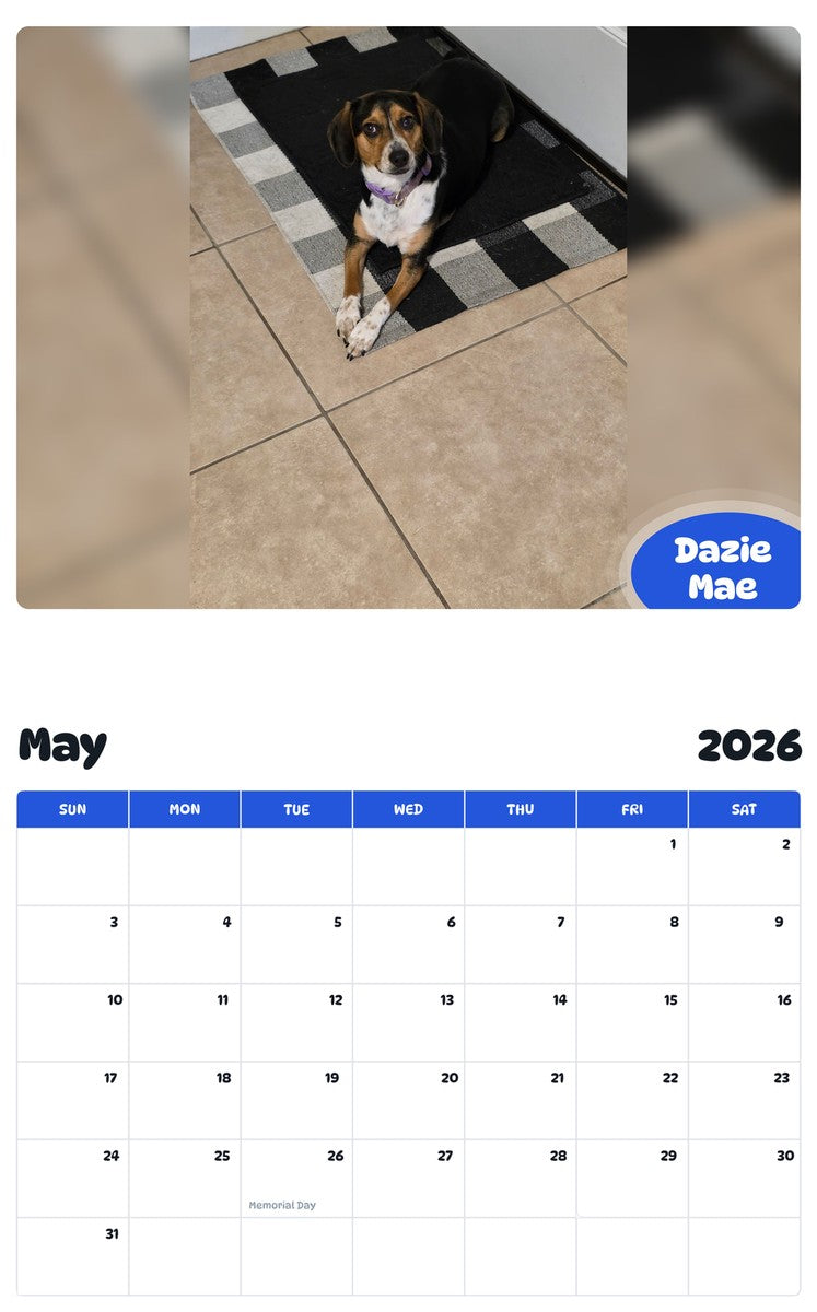 2026 - 2027 Dazie Mae - Pawidols Pet Calendar