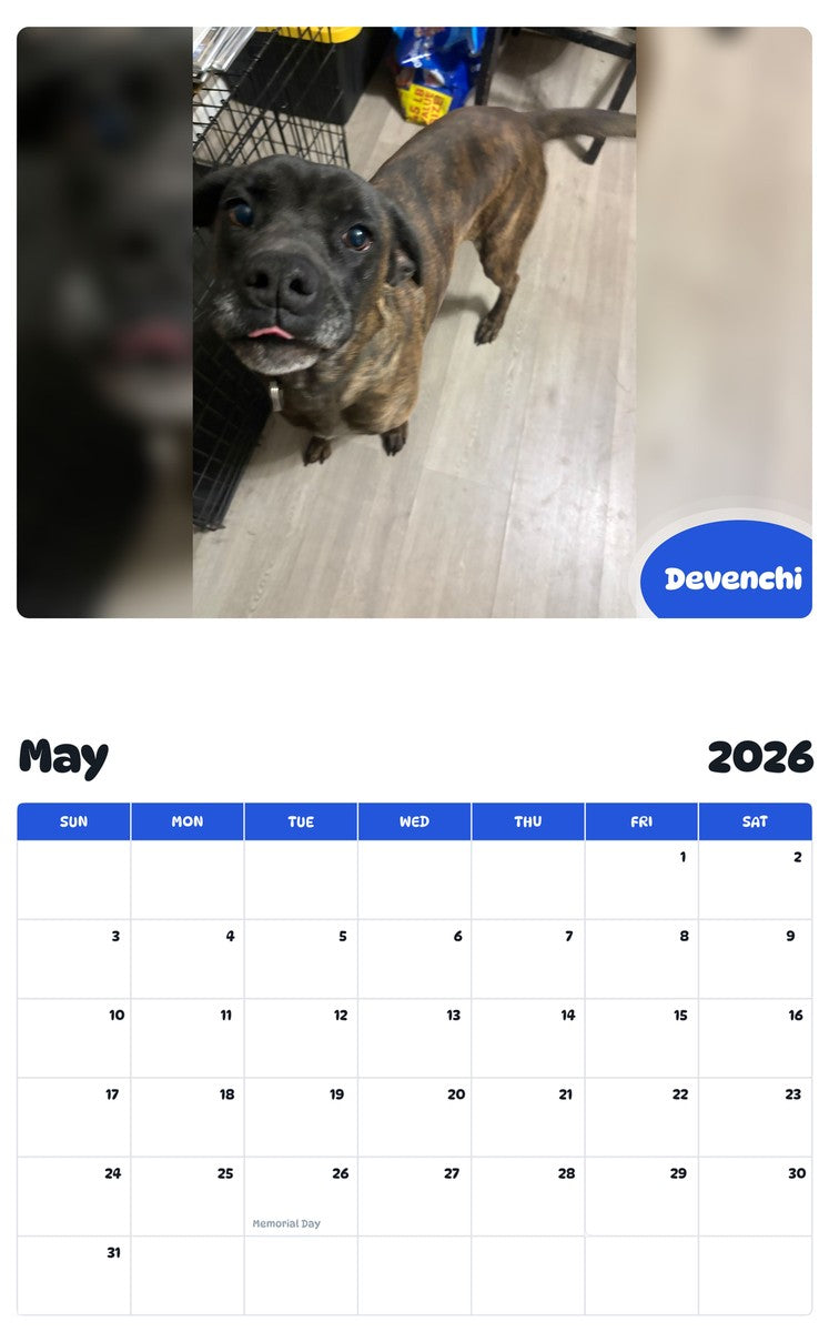 2026 - 2027 Devenchi - Pawidols Pet Calendar