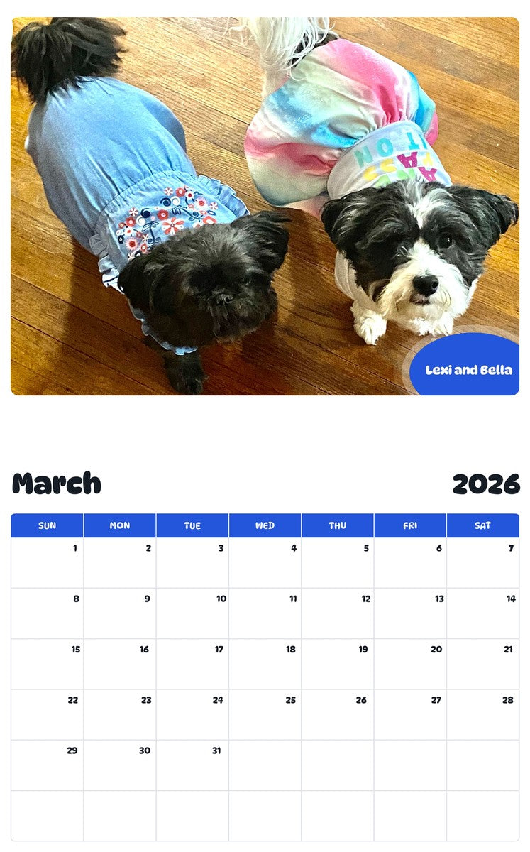 November 2025 - October 2026 Lexi and Bella - Pawidols Pet Calendar