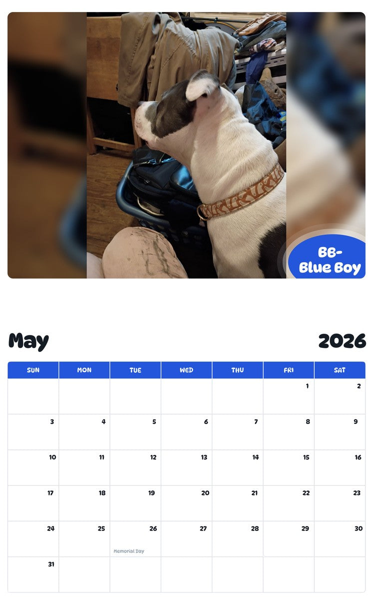 2026 - 2027 BB- Blue Boy - Pawidols Pet Calendar