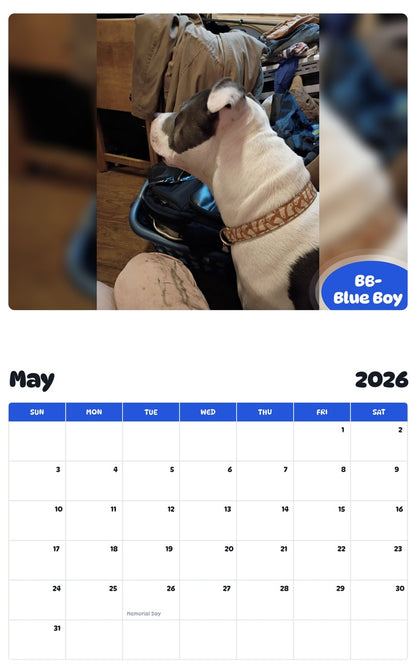 2026 - 2027 BB- Blue Boy - Pawidols Pet Calendar