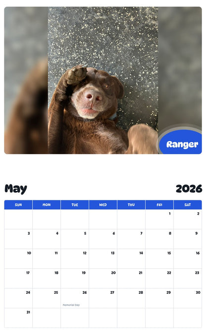 2026 - 2027 Ranger - Pawidols Pet Calendar