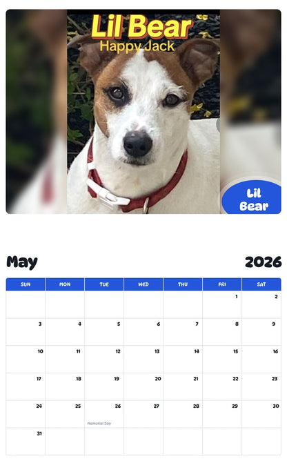 2026 - 2027 Lil Bear - Pawidols Pet Calendar