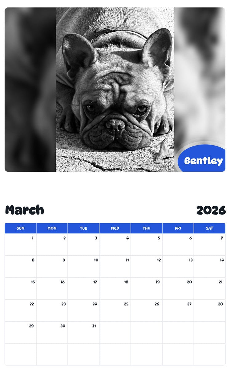 November 2025 - October 2026 Bentley - Pawidols Pet Calendar