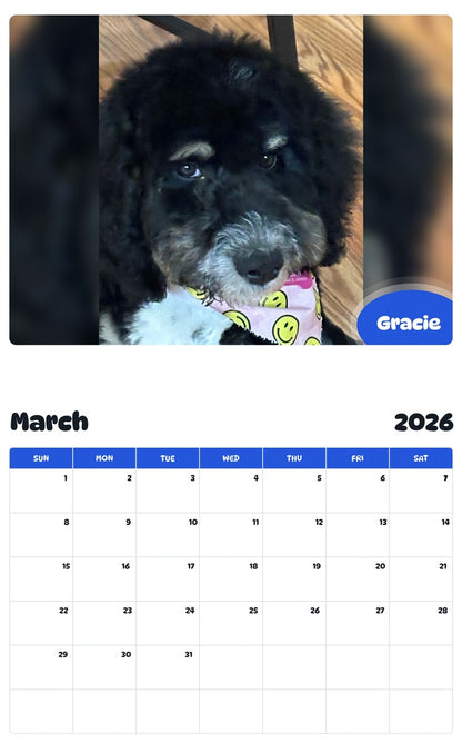 November 2025 - October 2026 Gracie - Pawidols Pet Calendar