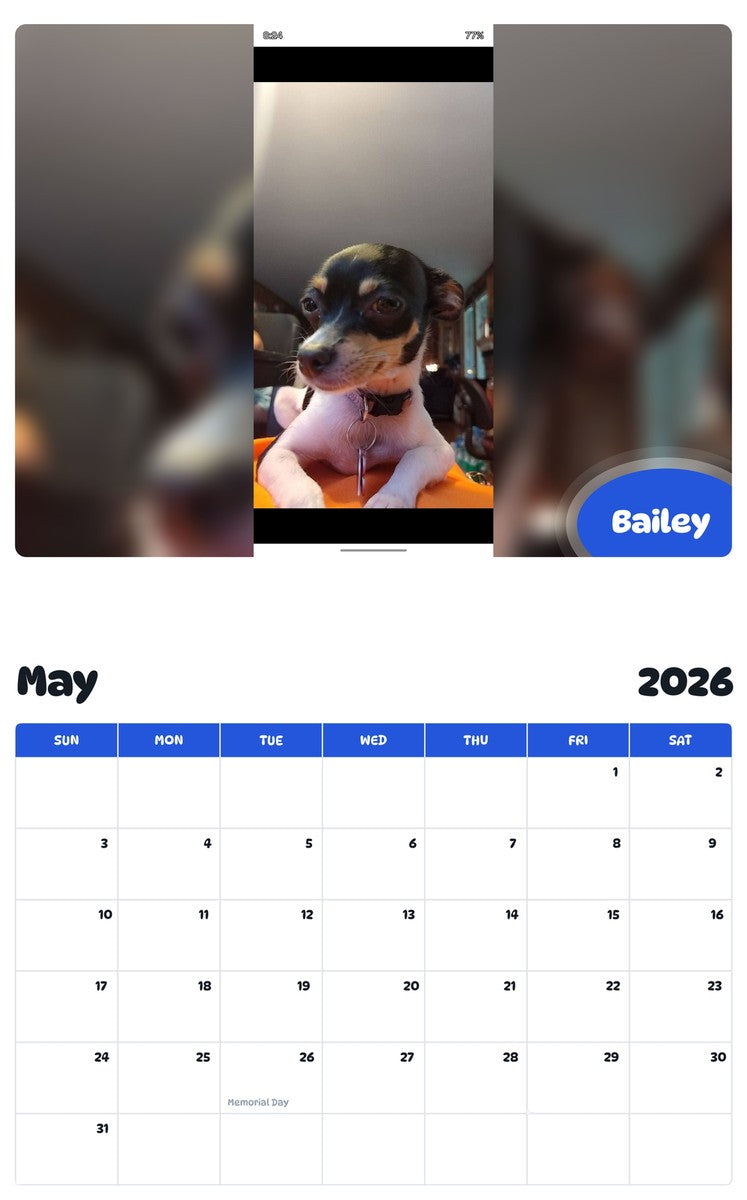 2026 - 2027 Bailey - Pawidols Pet Calendar