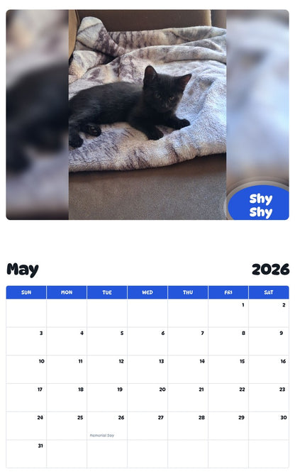 2026 - 2027 Shy Shy - Pawidols Pet Calendar