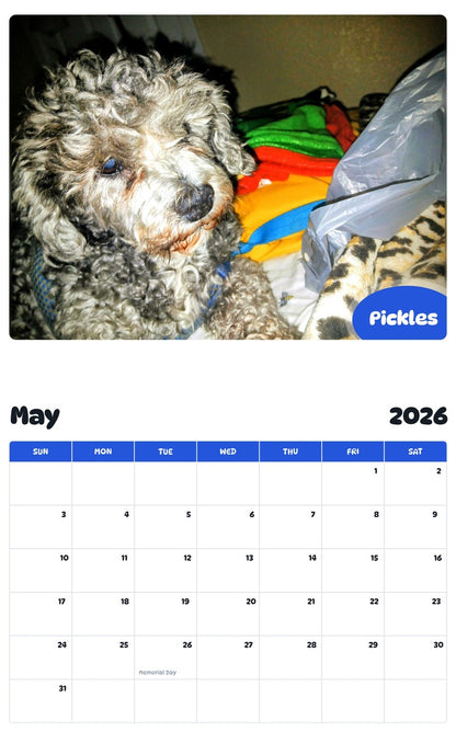 2026 - 2027 Pickles - Pawidols Pet Calendar