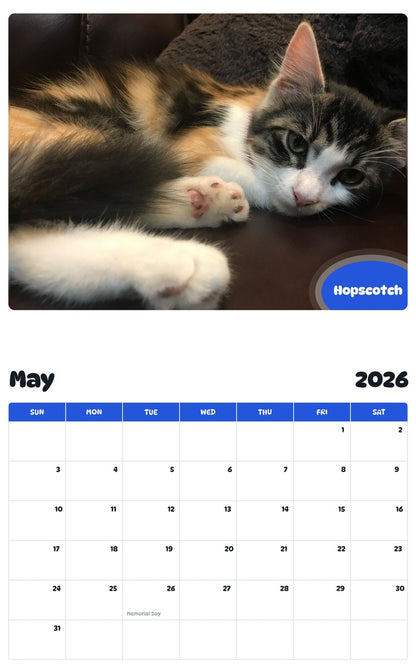 2026 - 2027 Hopscotch - Pawidols Pet Calendar