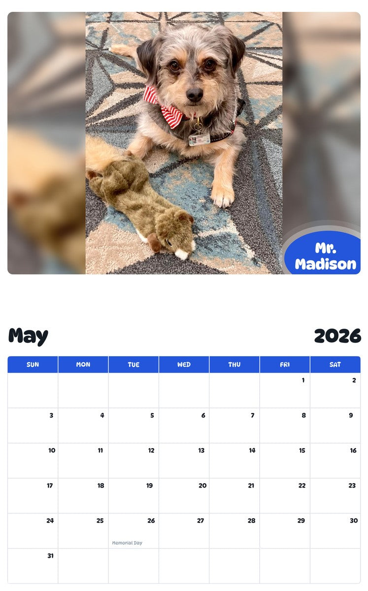 2026 - 2027 Mr. Madison - Pawidols Pet Calendar