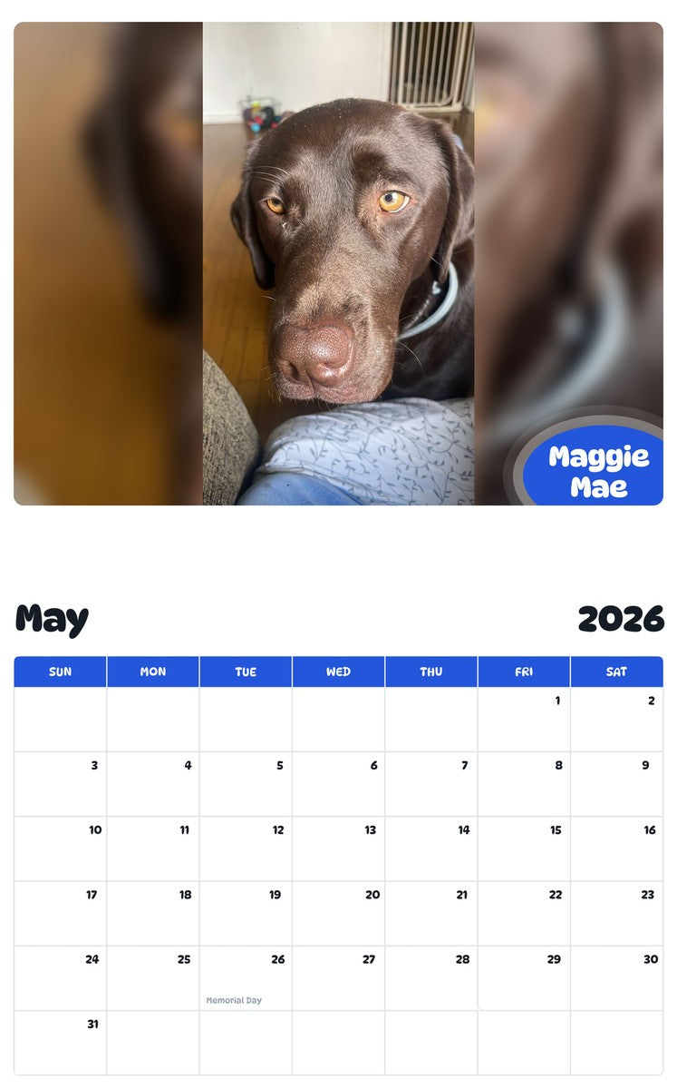2026 - 2027 Maggie Mae - Pawidols Pet Calendar