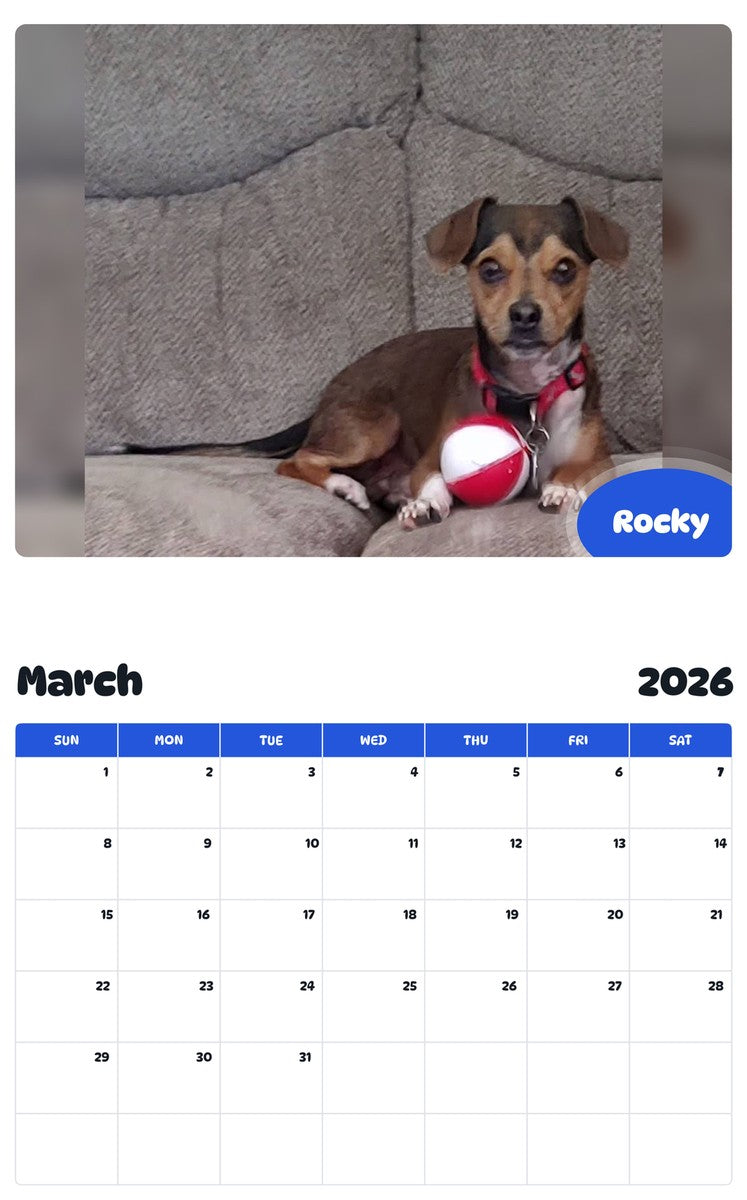 November 2025 - October 2026 Rocky - Pawidols Pet Calendar