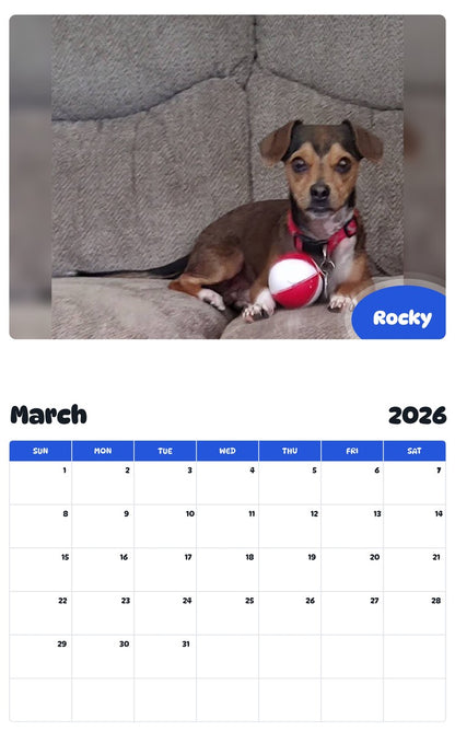 November 2025 - October 2026 Rocky - Pawidols Pet Calendar