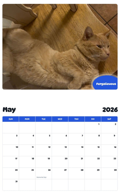 2026 - 2027 Fergalicuous - Pawidols Pet Calendar