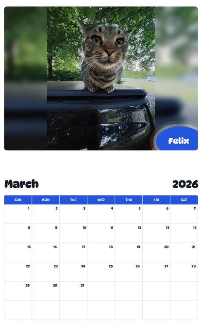 November 2025 - October 2026 Felix - Pawidols Pet Calendar