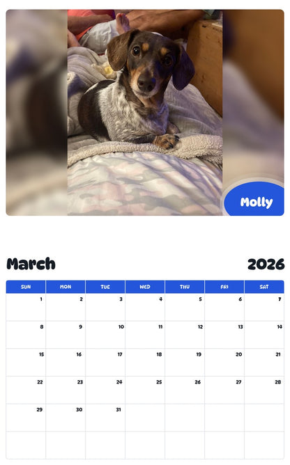November 2025 - October 2026 Molly - Pawidols Pet Calendar