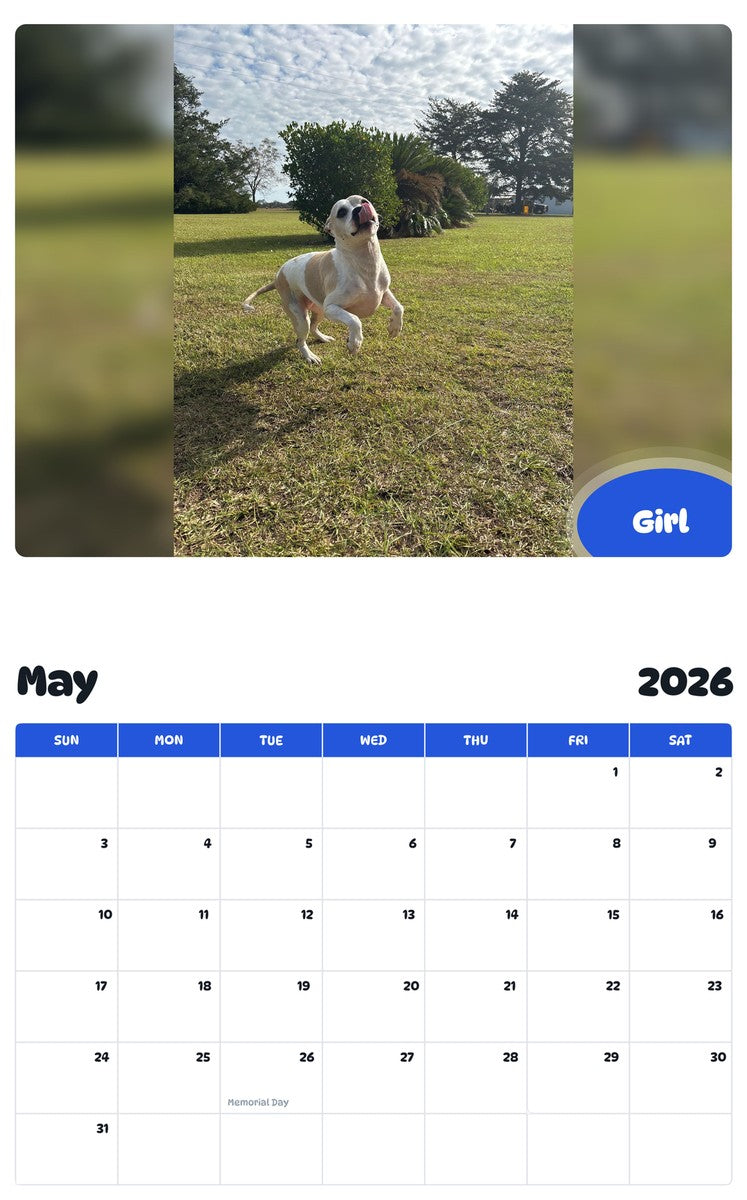 2026 - 2027 Girl - Pawidols Pet Calendar