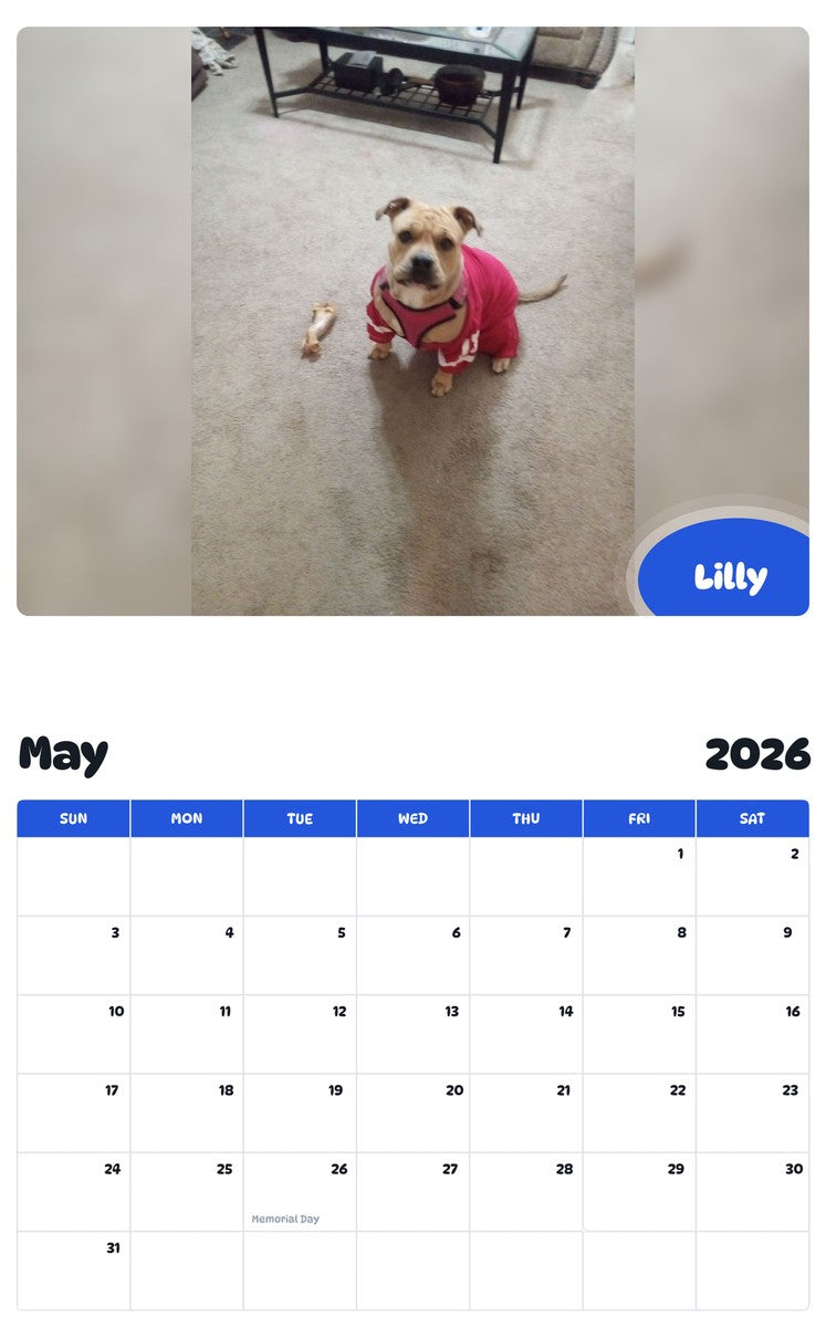 2026 - 2027 Lilly - Pawidols Pet Calendar