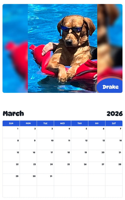 November 2025 - October 2026 Drake - Pawidols Pet Calendar