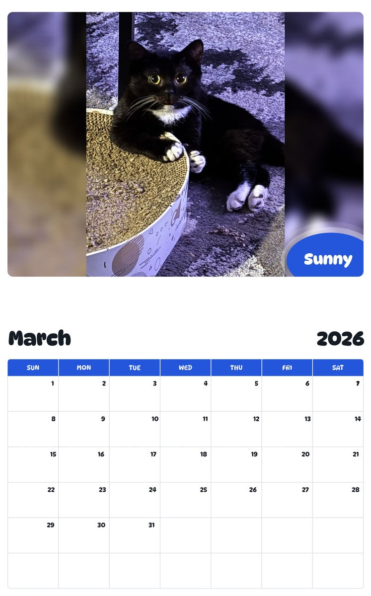 November 2025 - October 2026 Sunny - Pawidols Pet Calendar