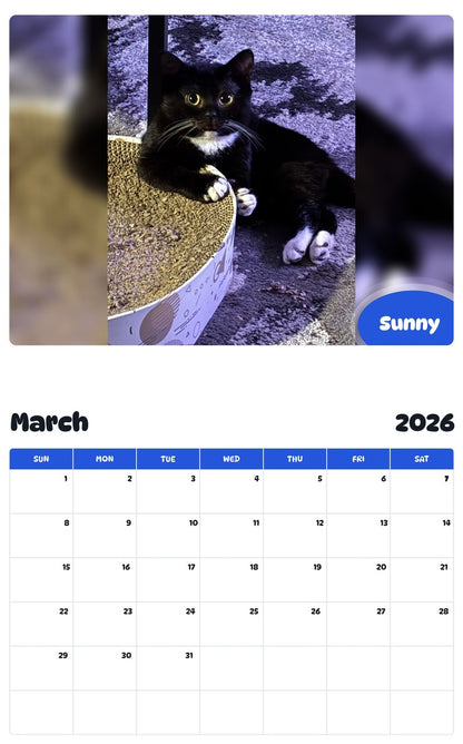 November 2025 - October 2026 Sunny - Pawidols Pet Calendar
