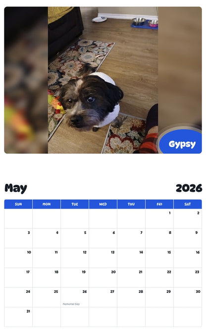 2026 - 2027 Gypsy - Pawidols Pet Calendar