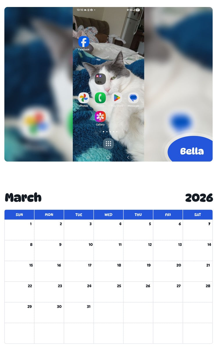 November 2025 - October 2026 Bella - Pawidols Pet Calendar