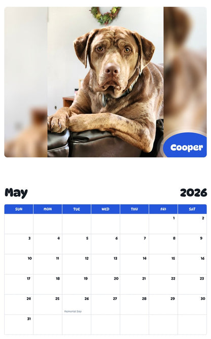2026 - 2027 Cooper - Pawidols Pet Calendar