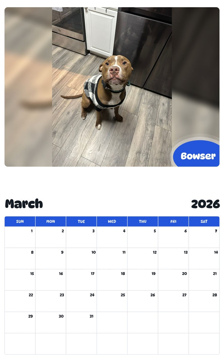 2026 - 2027 Bowser - Pawidols Pet Calendar