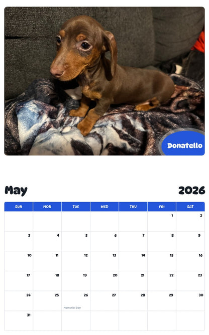 2026 - 2027 Donatello - Pawidols Pet Calendar
