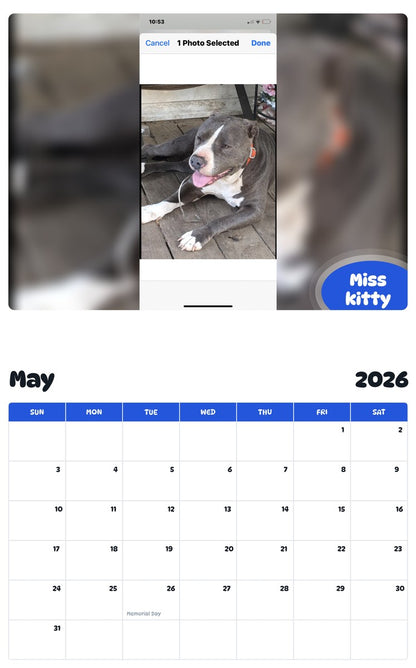2026 - 2027 Miss kitty - Pawidols Pet Calendar