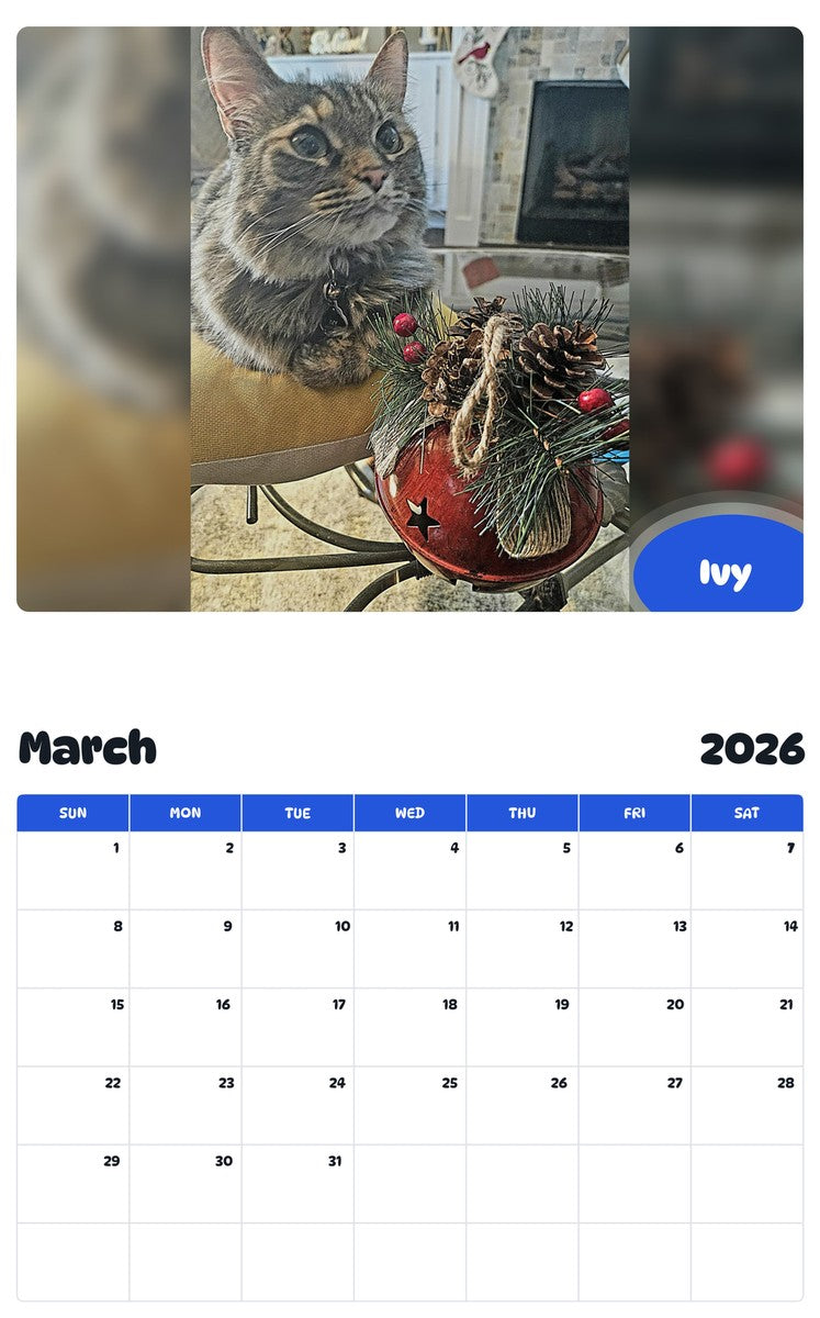 November 2025 - October 2026 Ivy - Pawidols Pet Calendar
