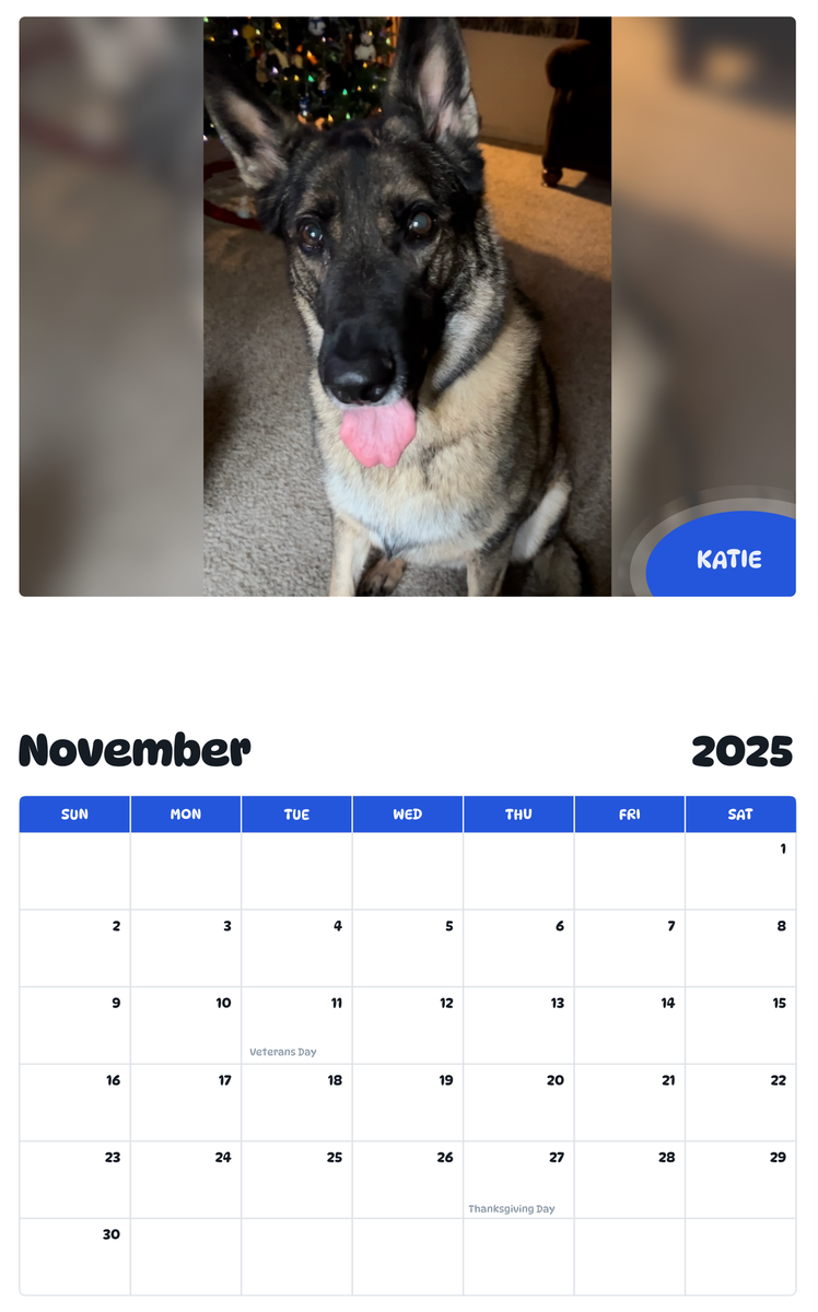 July 2025 - June 2026 Katie - Pawidols Pet Calendar