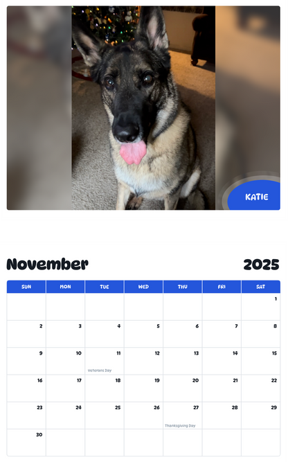 July 2025 - June 2026 Katie - Pawidols Pet Calendar